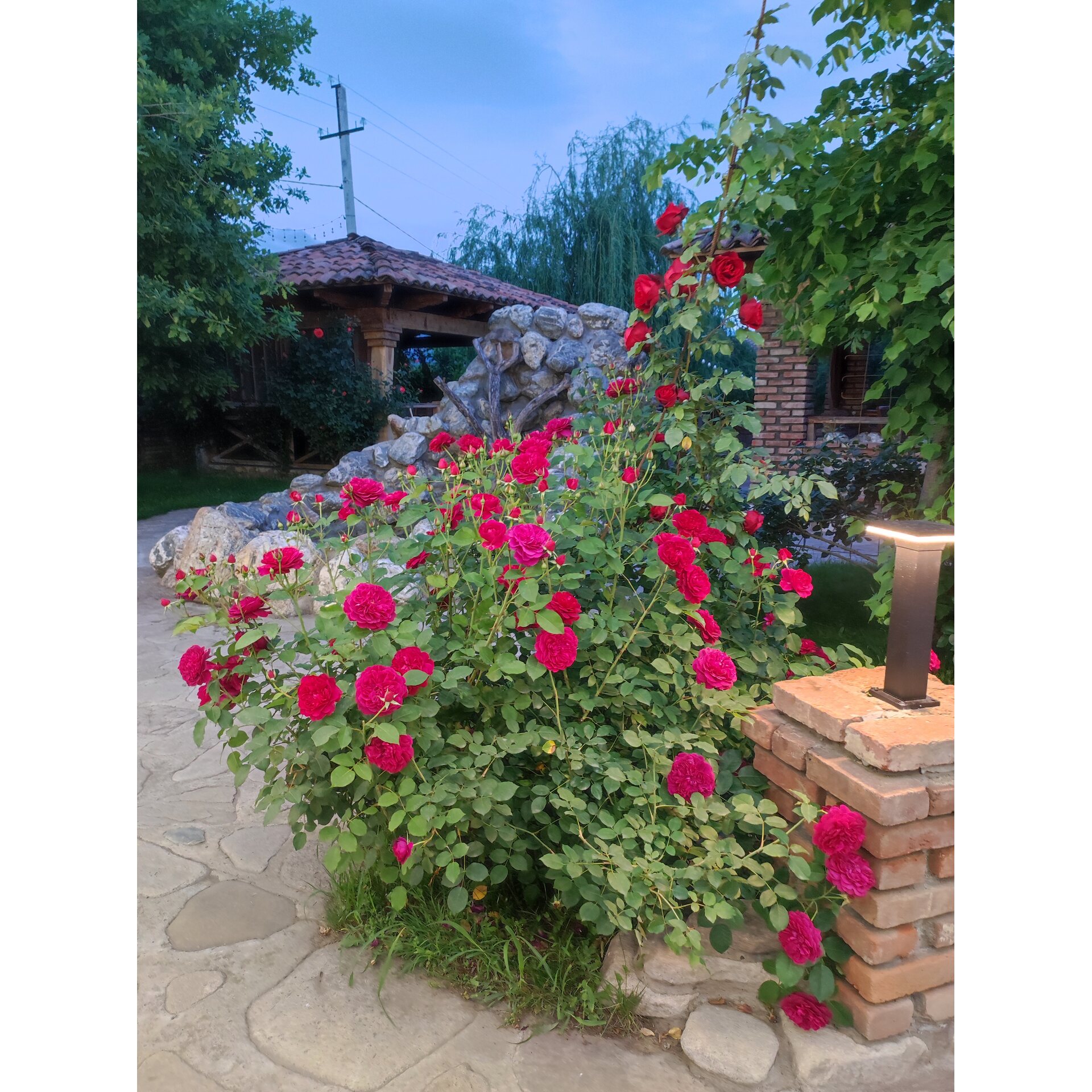 პოსტის ფოტო