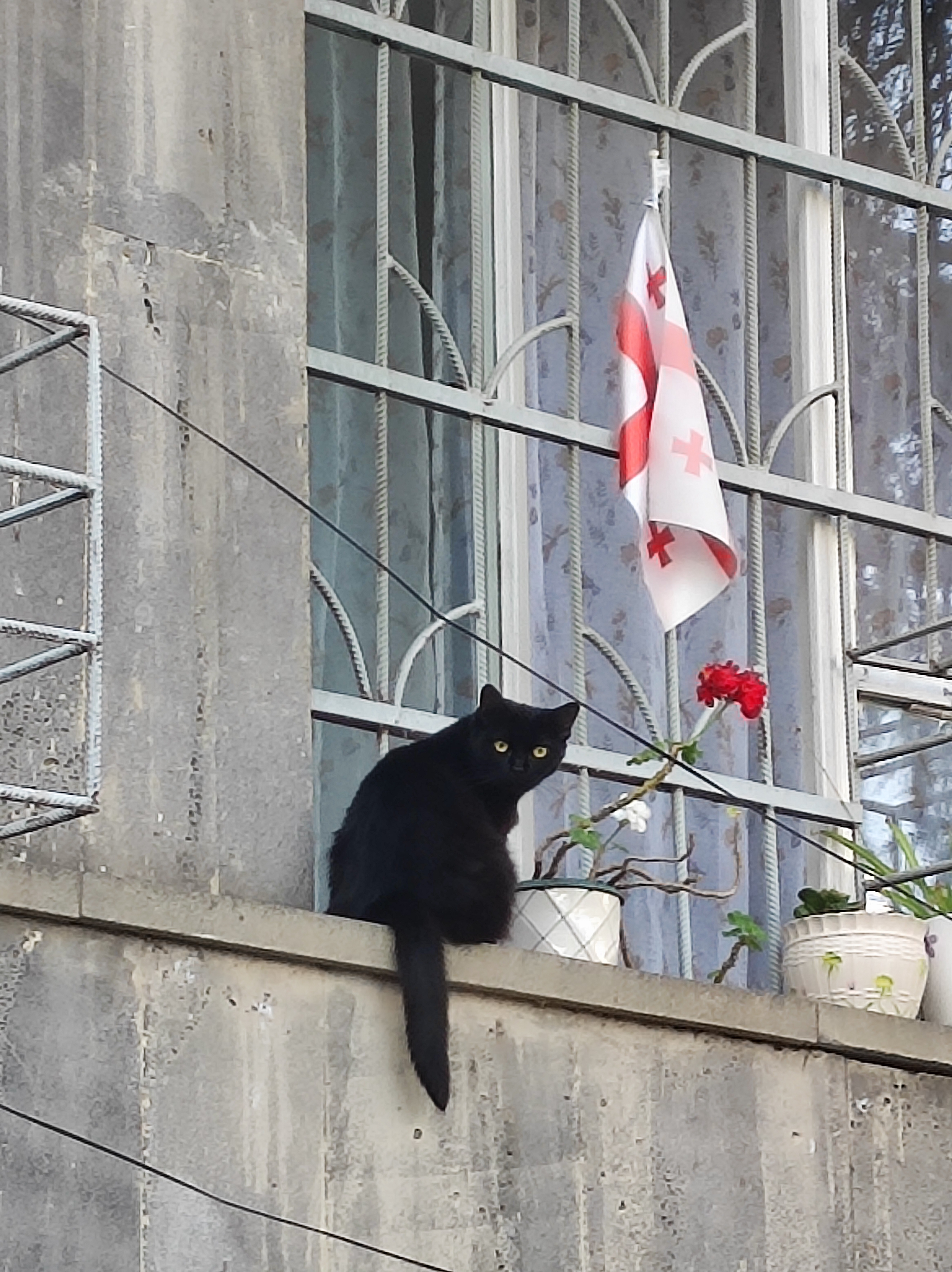 პოსტის ფოტო