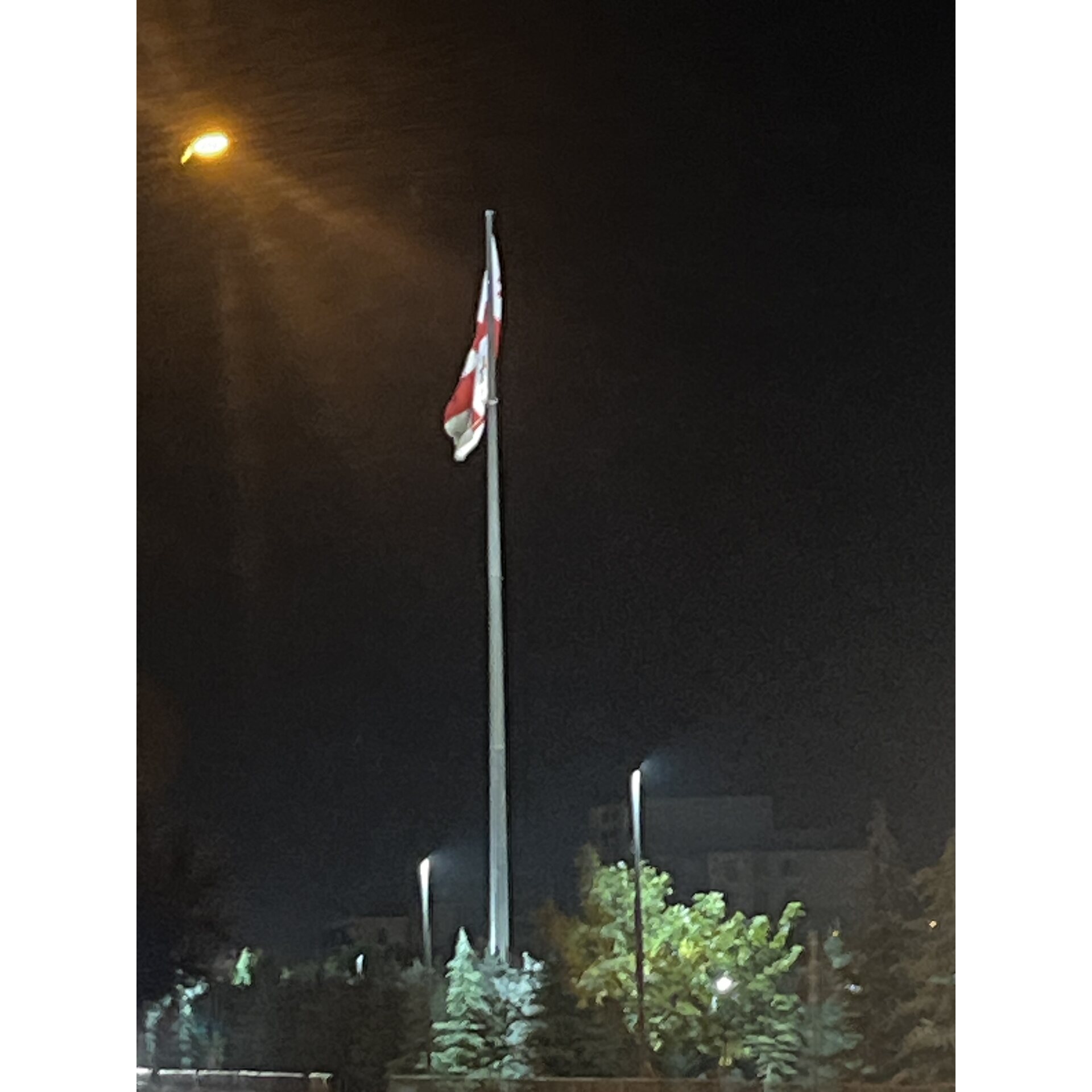 პოსტის ფოტო